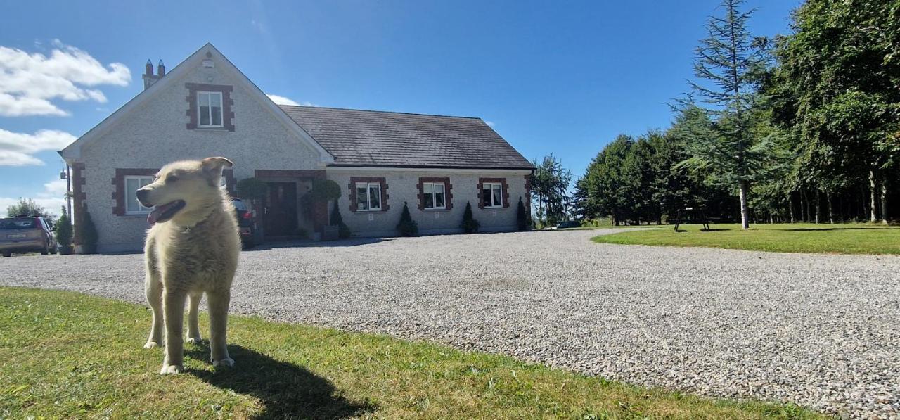 Littlefield B&B Durrow, Laois Exterior foto